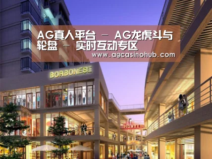 案例展示一(图1)