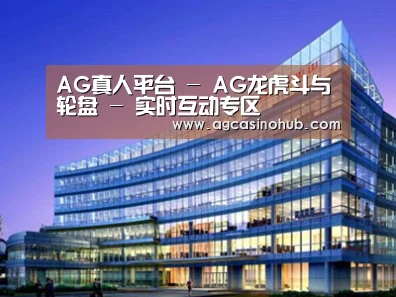 案例展示五