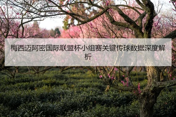 梅西迈阿密国际联盟杯小组赛关键传球数据深度解析