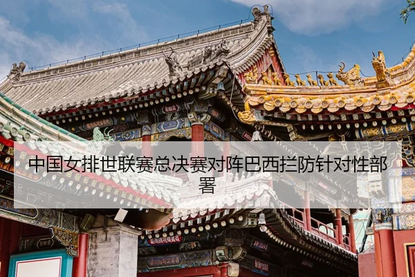 zhong-guo-nv-pai-shi-lian-sai-zong-jue-sai-dui-zhen-ba-xi-lan-fang-zhen-dui-xing-bu-shu-3-687.jpg