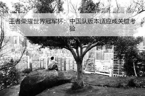 wang-zhe-rong-yao-shi-jie-guan-jun-bei-zhong-guo-dui-ban-ben-shi-ying-cheng-guan-jian-kao-yan-2-842.jpg
