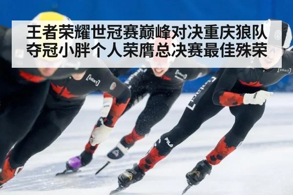 王者荣耀世冠赛巅峰对决重庆狼队夺冠小胖个人荣膺总决赛最佳殊荣