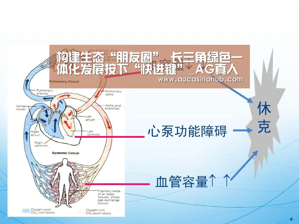 AG真人